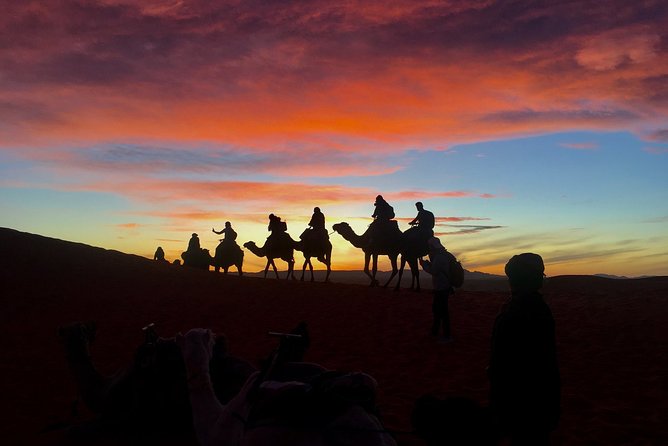 Desert Agafay and Atlas Mountains & Camel Ride Day Trip From Marrakech - Booking Information