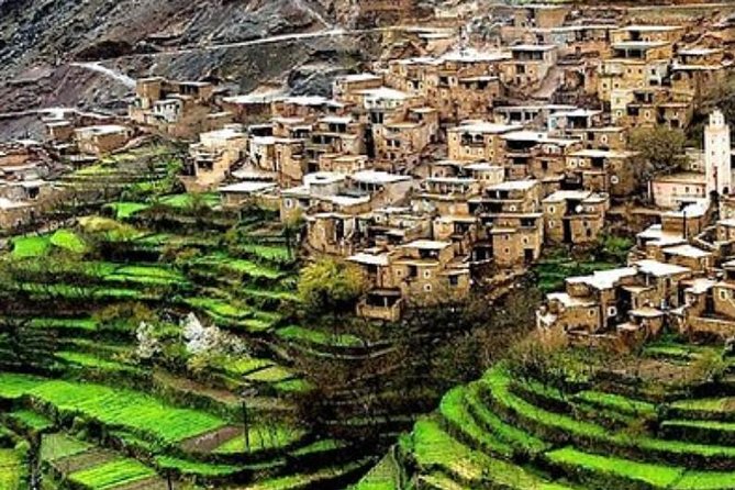 Desert Agafay and Atlas Mountains & Camel Ride Day Trip From Marrakech - Inclusions of the Experience