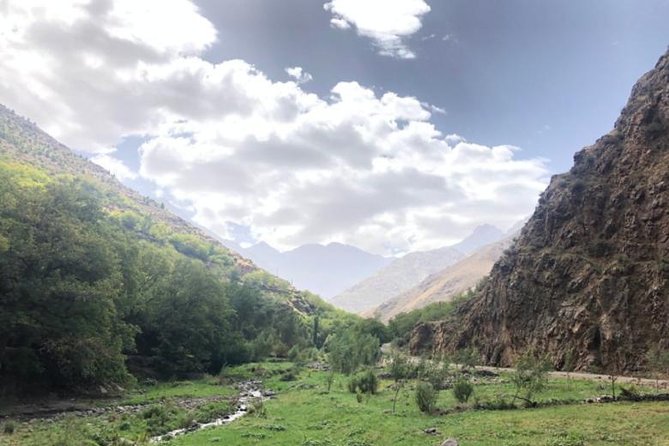 Desert Agafay and Atlas Mountains & Camel Ride Day Trip From Marrakech - Camel Ride Experience