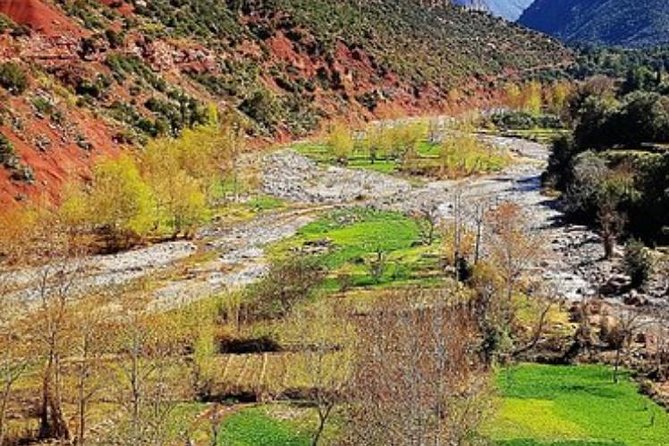 Desert Agafay and Atlas Mountains & Camel Ride Day Trip From Marrakech - Dining With Locals