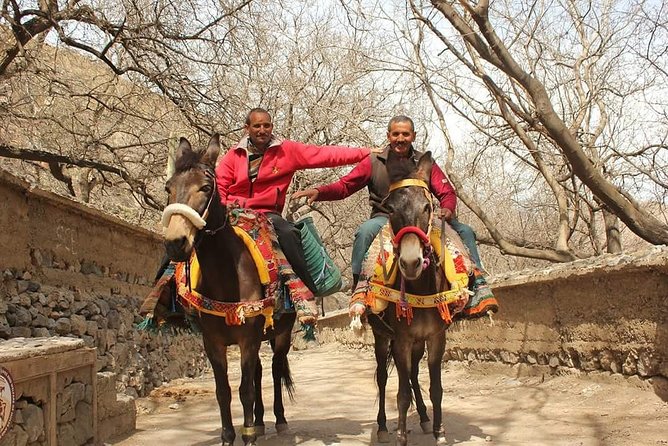 Desert Agafay Day Trip From Marrakech and Atlas Mountains & Camel Ride - Schedule and Availability
