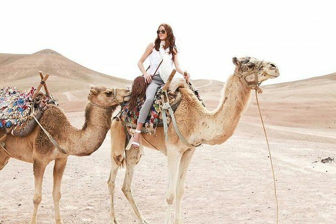 Desert Agafay Day Trip From Marrakech and Atlas Mountains & Camel Ride - Accessibility and Additional Details