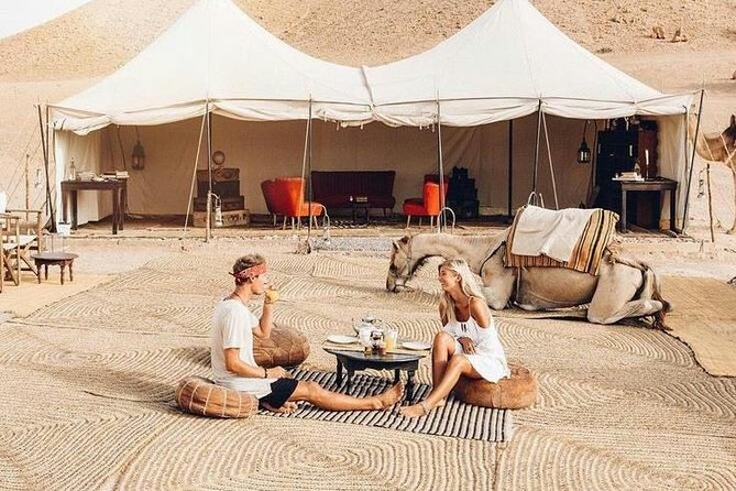 Desert Agafay Day Trip From Marrakech and Atlas Mountains & Camel Ride - Recap