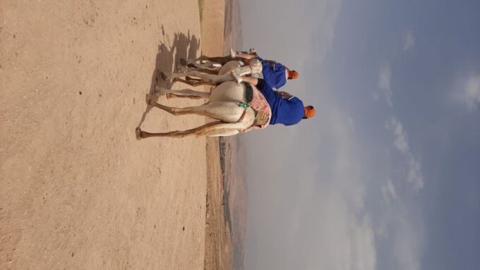 Desert Agafay Dinner at Nomad Camp and Camel Ride - Customer Feedback and Recommendations