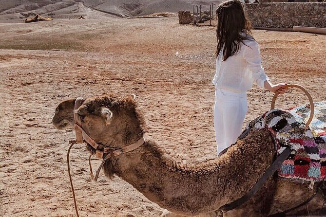 Desert Agafay Dinner Show & Magical Views of Atlas - Pricing and Flexibility