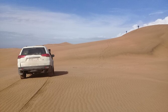 Desert and Ocean Private Day Tour - Reviews