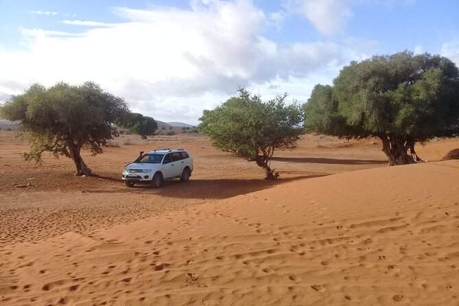 Desert and Ocean Private Day Tour - Lunch and Refreshments