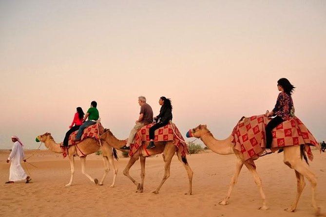 Desert Camel Ride With Live Shows & BBQ Buffet Dinner - Inclusions