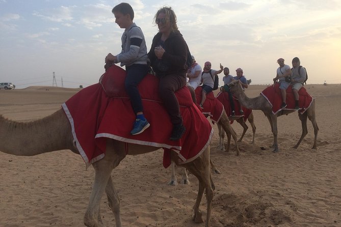 Desert Camel Ride With Live Shows & BBQ Buffet Dinner - Health and Safety Guidelines