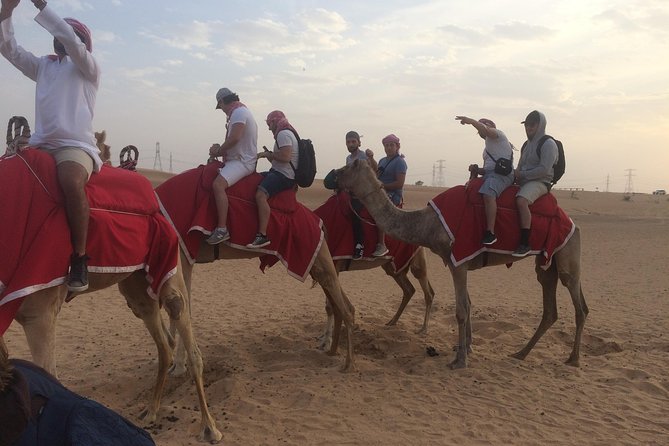 Desert Camel Ride With Live Shows & BBQ Buffet Dinner - Traditional Activities and Performances
