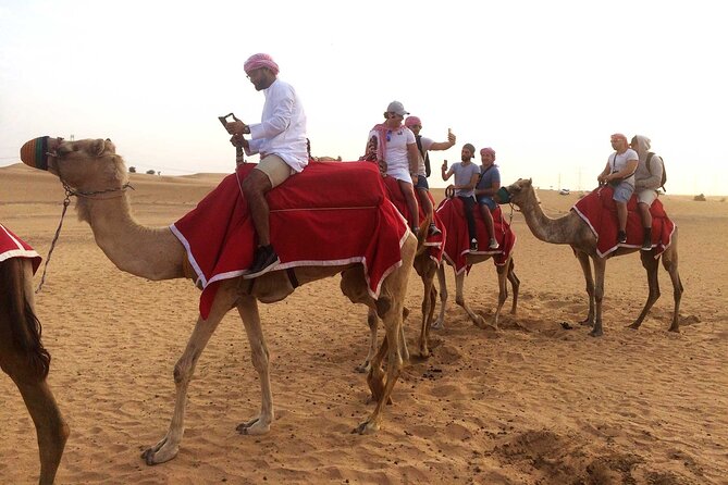 Desert Camel Ride With Live Shows & BBQ Buffet Dinner - Scenic Highlights and Optional Activities