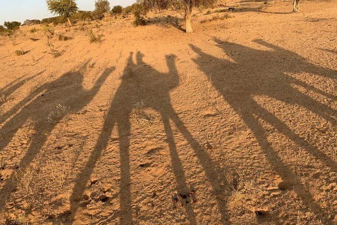 Desert Camel Safari Day Tour In Jodhpur - Inclusions and Restrictions