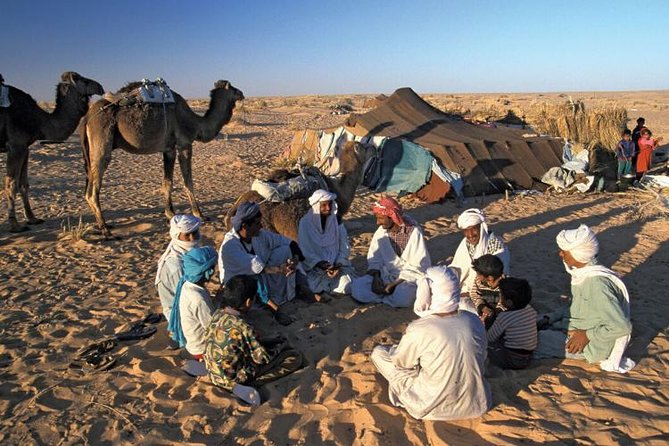 Desert Camping With The Bedouins Under The Stars - White & Black Deserts - Transportation and Pickup Details