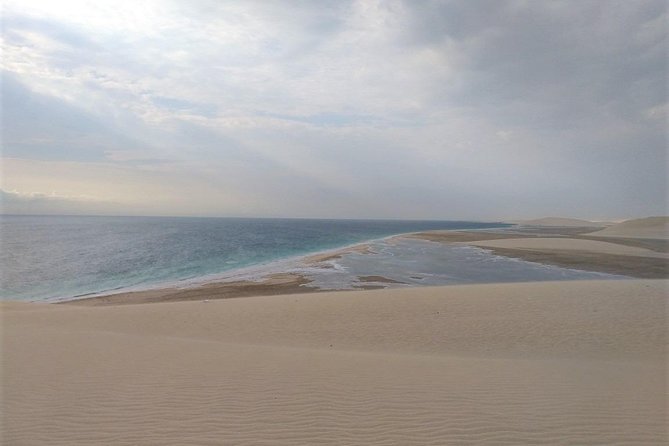 Desert Combo Safari, Camel Ride, Quad Bike and Dune Bashing(All Inclusive) - Group Size Limit