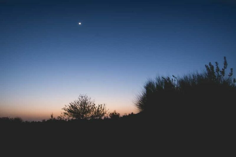 Desert Cultural Evening (No Camel) : Kalbelia & Sufi Fusion - The Sum Up