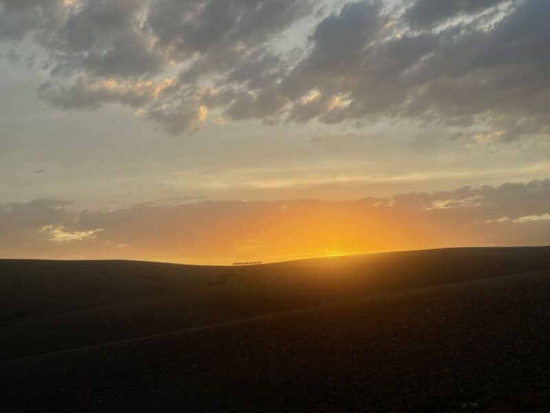 Desert Dagafay - 4x4 Safari With Dinner and Show - Experience Highlights