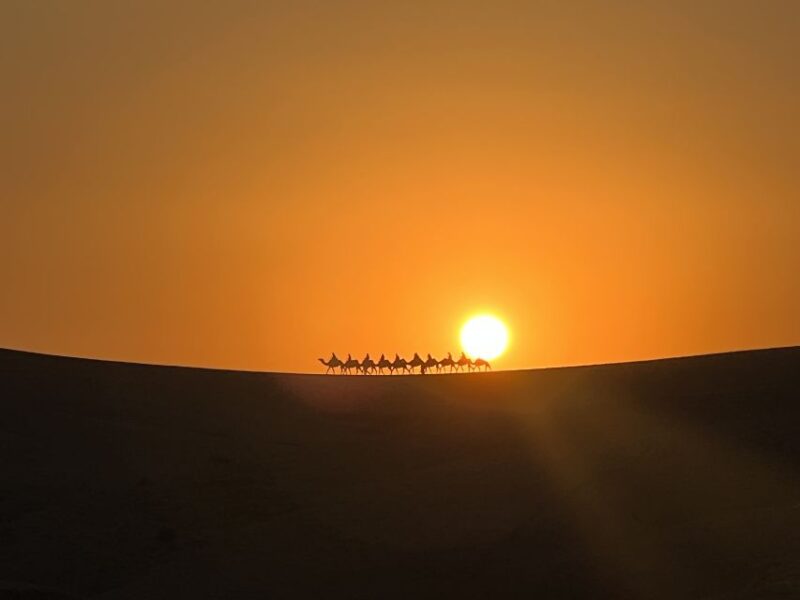 Desert Dagafay - 4x4 Safari With Dinner and Show - Discover Berber Village