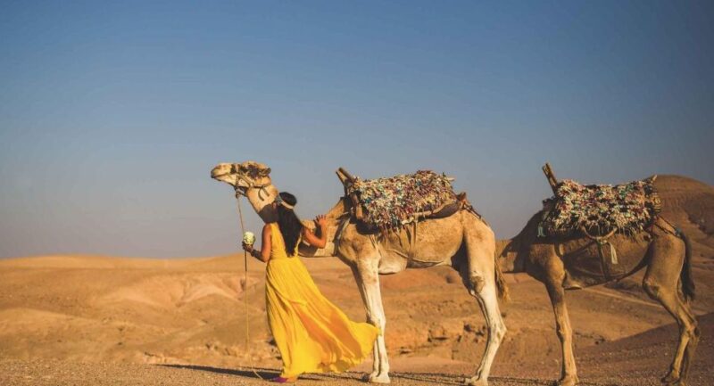 Desert Dreams: Camel Ride & Dinner Show in Agafay - Cultural Immersion Opportunity