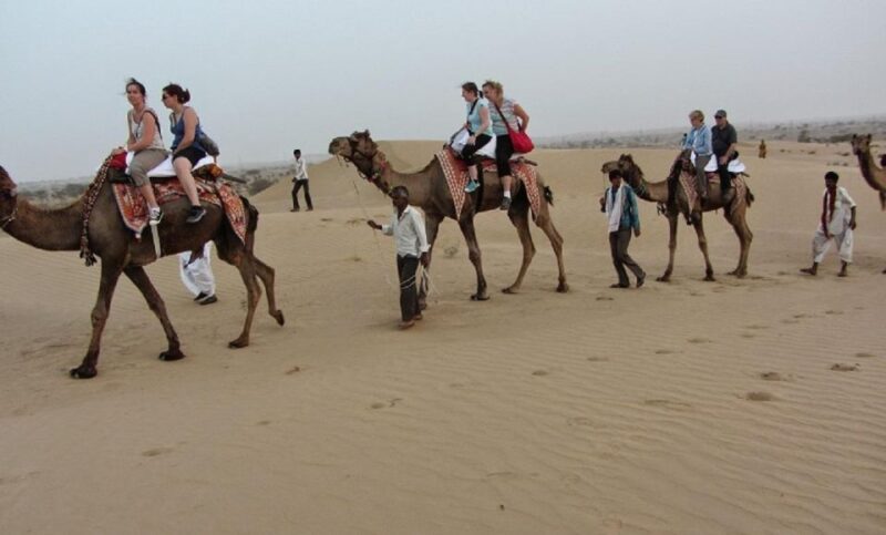 Desert Eagle Safari : Peaceful & Amazing Desert Experience - Key Points