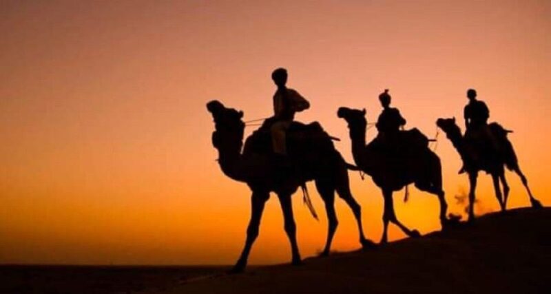 Desert Eagle Safari : Peaceful & Amazing Desert Experience - Itinerary Highlights