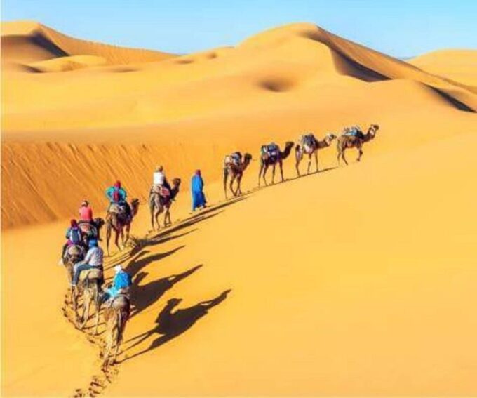 Desert Eagle Safari : Peaceful & Amazing Desert Experience - Pickup and Shared Tours