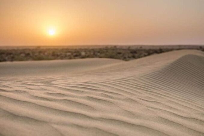 Desert Eagle Safari : Peaceful & Amazing Desert Experience - Additional Details