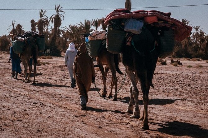 Desert Hike for 6 Days and 5 Nights - Cancellation and Rescheduling
