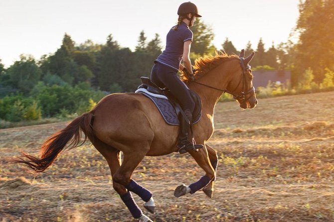 Desert Horse Riding- 1 Hour - Key Points