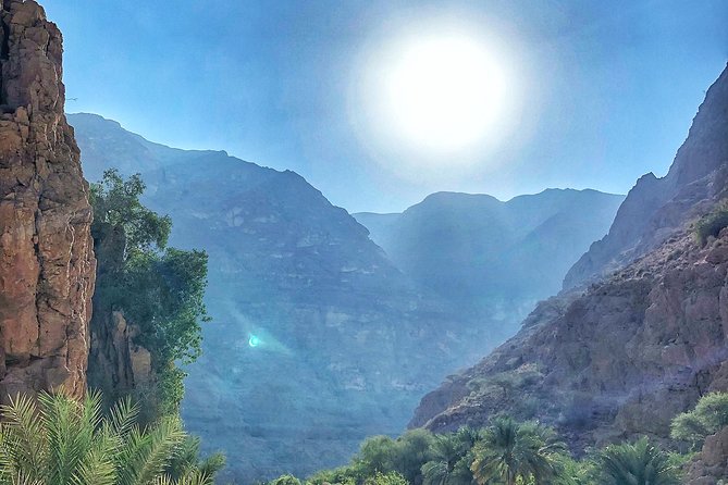 Desert Oasis Adventure: Wadi Shab, Bani Khalid & Camp - Camel Riding Experience