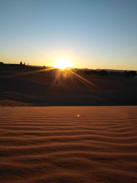 Desert Odyssey: 5-Day Tour From Casablancas Gateway - Experiences and Activities