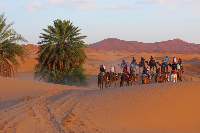 Desert Odyssey: a 2-Day Journey From Marrakech to Zagora - Overnight in the Desert Camp