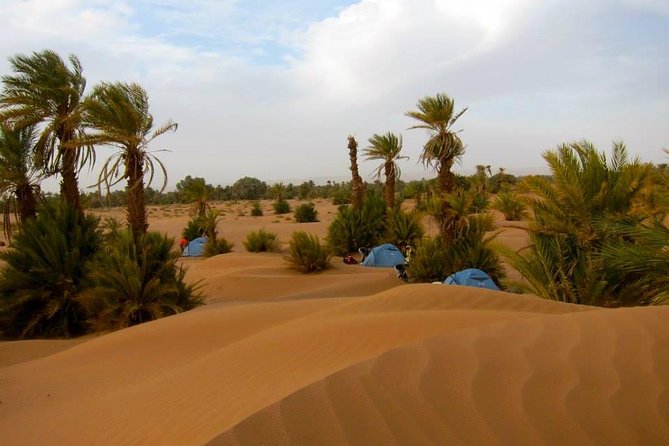 Desert Odyssey: a 2-Day Journey From Marrakech to Zagora - Scenic Stops Along the Way