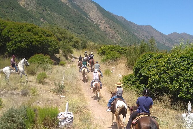 Desert Peaks on Horseback, Exploring Mountain Trails of Ensenada - Tour Inclusions