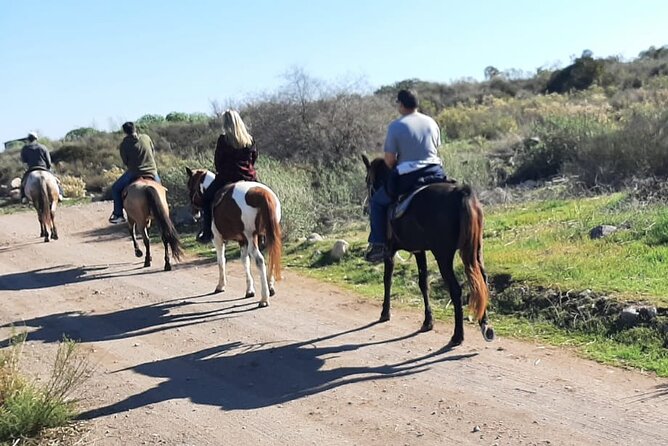 Desert Peaks on Horseback, Exploring Mountain Trails of Ensenada - Customer Reviews