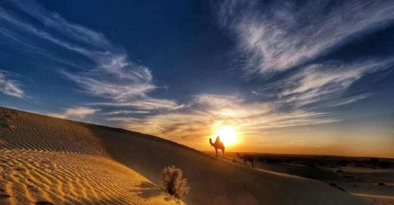 Desert Rose Jaisalmer: Overnight Thar Desert Experience - Itinerary and Activities