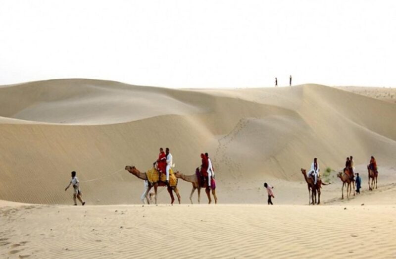 Desert Rose Jaisalmer: Overnight Thar Desert Experience - Dietary Requirements and Restrictions