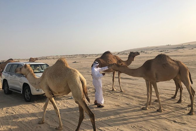Desert Safari 7 Hours Tour With Dinner and Camp - Tour Requirements
