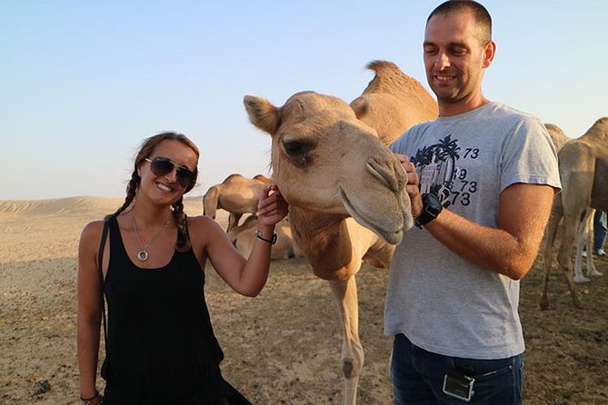 Desert Safari Abu Dhabi - Evening Entertainment and Dining