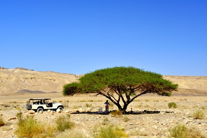 Desert Safari and Dead Sea Day Trip From Tel Aviv - Transportation and Inclusions