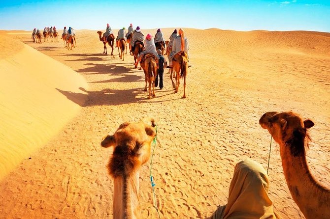 Desert Safari and Dhow Cruise Dinner Marina (Limited Offer) - Reviews