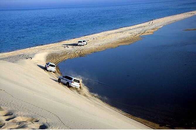 Desert Safari and Inland Sea(Private Tour) - Camel Ride and Falcon Experience