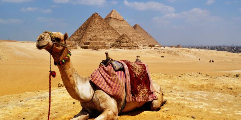 Desert Safari by Quad Bike Around Pyramids - Important Notes