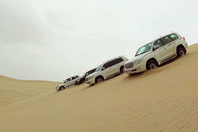 Desert Safari, Camel Ride and Inland Sea Tour - Tour Details