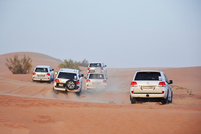 Desert Safari Drive With BBQ Dinner at DDCR Camp - BBQ Dinner and Shisha Smoking