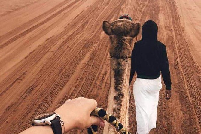 Desert Safari Dubai Pickup & Drop off by Land Cruiser - Safety and Accessibility