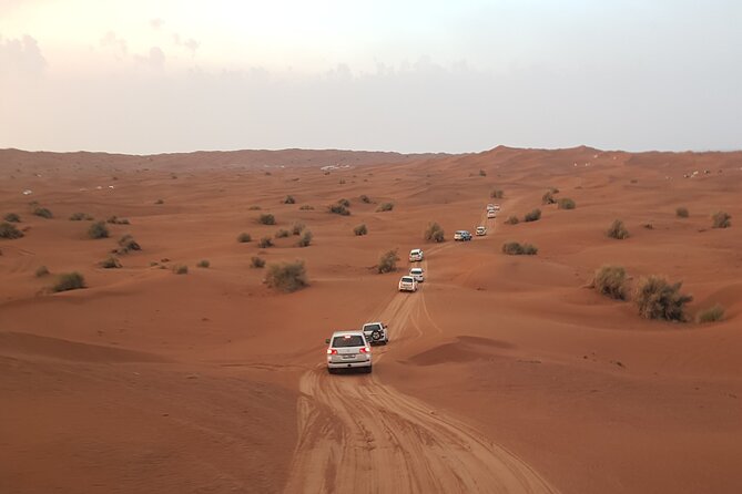 Desert Safari Dubai & Quad Bike With Dinner - Included in the Tour