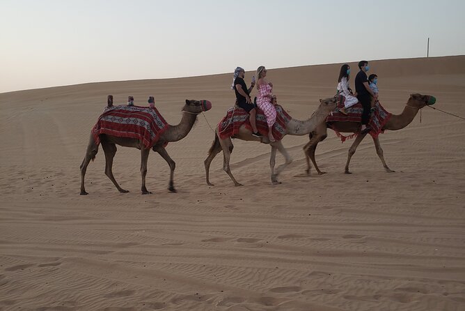 Desert Safari Dubai With Buffet Dinner & 3 Live Shows - Restrictions and Notes