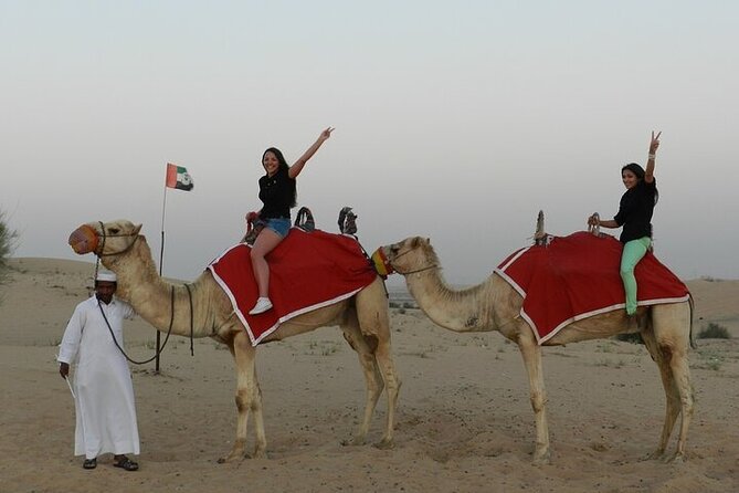 Desert Safari in Dubai Red Dunes With BBQ Dinner Private Tour - Customer Reviews