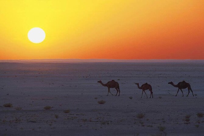 Desert Safari in Empty Quarter With Dune Bashing - Recommendations