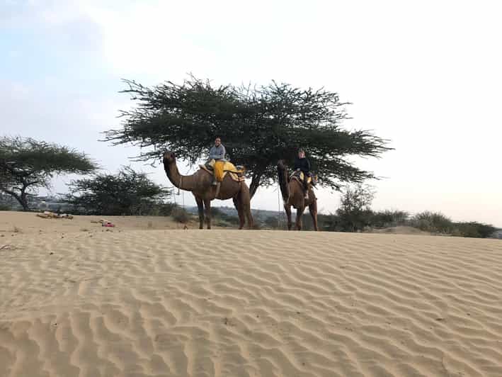 Desert Safari In Jodhpur - Camel Ride Through Thar Desert